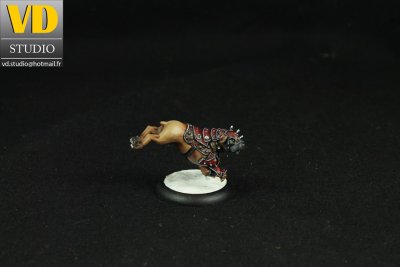 Painted by VD Studio