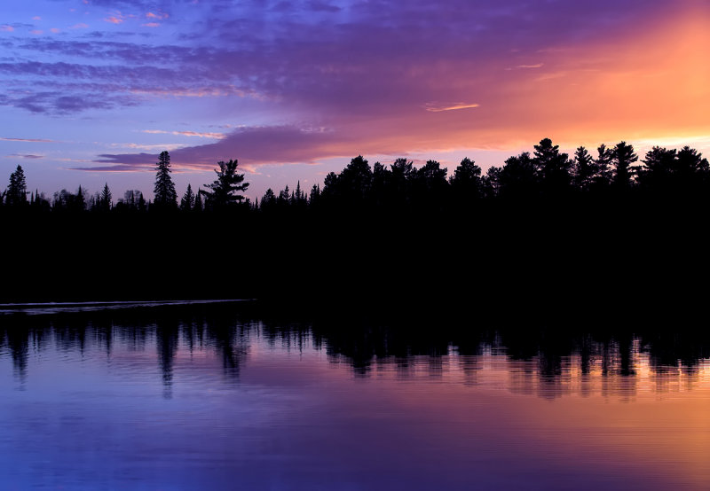 Beaver swimming into sunset.jpg