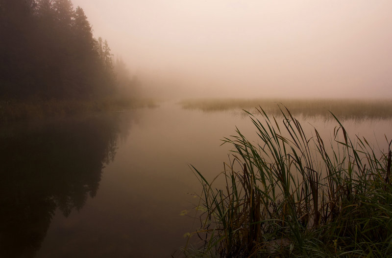 Lake Itasca shoreline with fog near HW.jpg