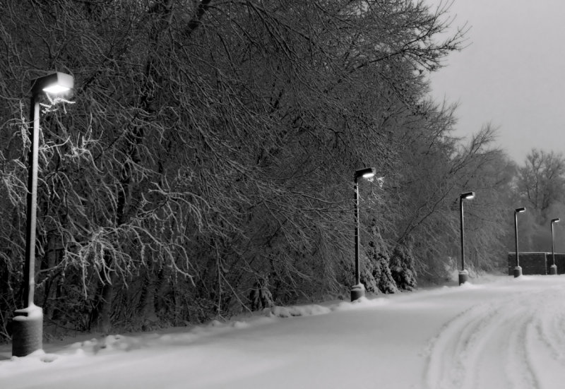 Morning after spring storm BW copy.jpg