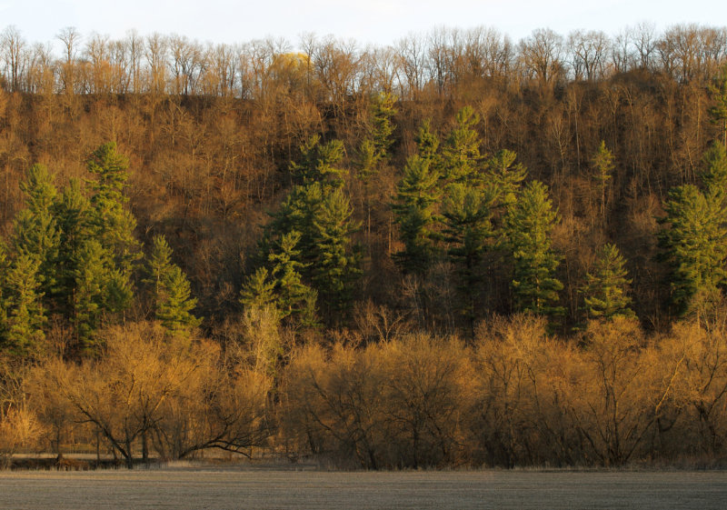 Twilight in Crooked Creek valley copy.jpg