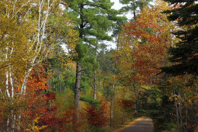 Autumn in Itasca