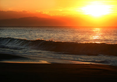 Nicoya Peninsula Area(Costa Rica)