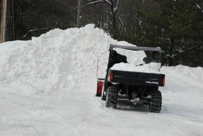 DSC_3736.jpg