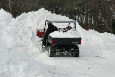 DSC_3739.jpg