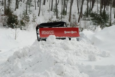 DSC_3742.jpg