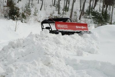 DSC_3743.jpg