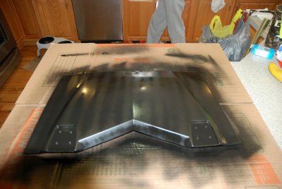 1st coat.jpg