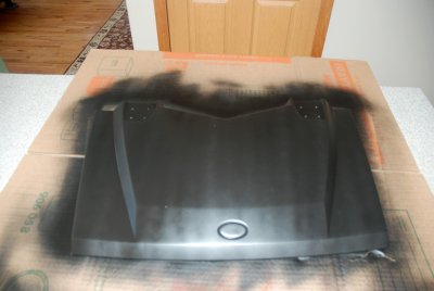 3rd coat.jpg
