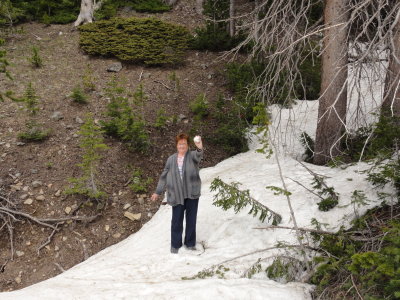 yellowstone_2013