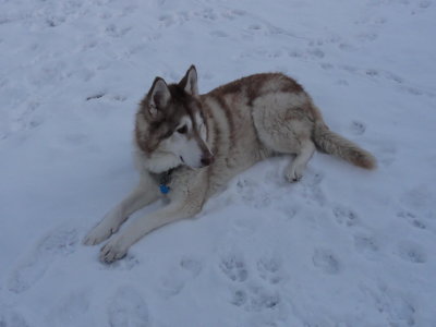 She loved the snow.