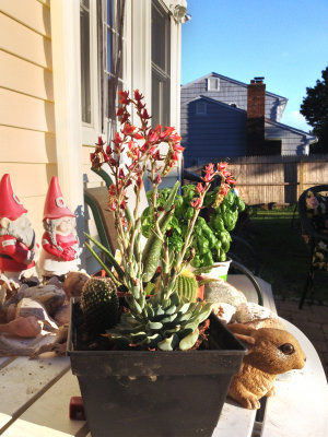 rc-052013-028-mas.jpg