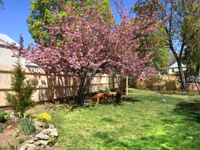 rc-052013-022-mas.jpg