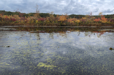 rc-092013-042-copy.jpg