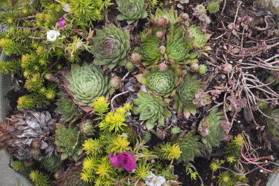 rc-092013-045-copy.jpg