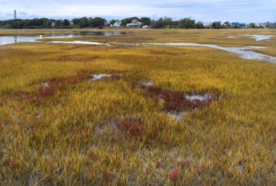 rc-092013-054-copy.jpg