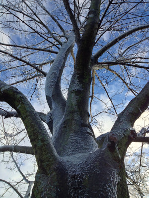 rc-IPHO-12152013-006-copy.jpg