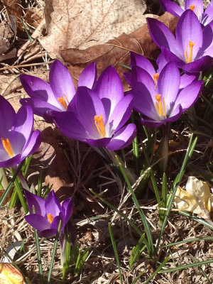 photo 14.jpg