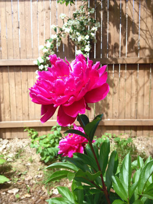 photo 122.jpg