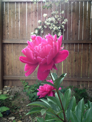 photo 413.jpg