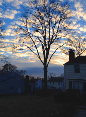 photo 32.jpg