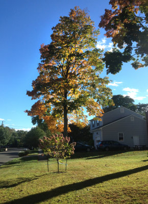 photo 11.jpg