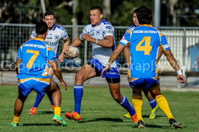 Trial Game Newtown vs Dapto Canaries 8/3/14