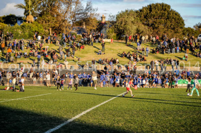 Newtown vs West Tigers 2/8/14