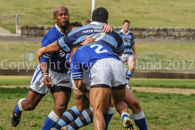 DSC_0041.jpg