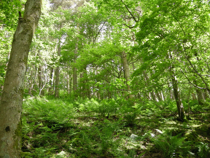 DSCN2036.JPG