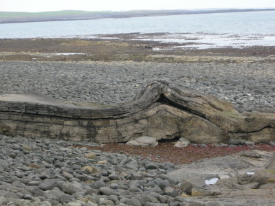 DSCN1889.JPG