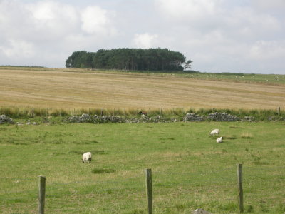 DSCN1892.JPG