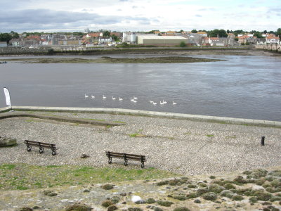 DSCN1898.JPG