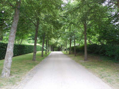 Garden Path by the palce