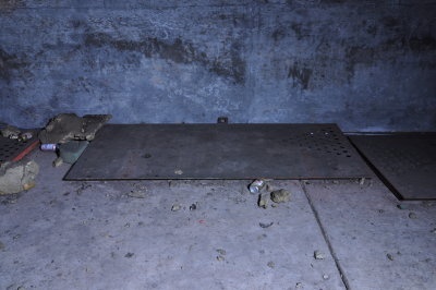 DSC_0019.JPG