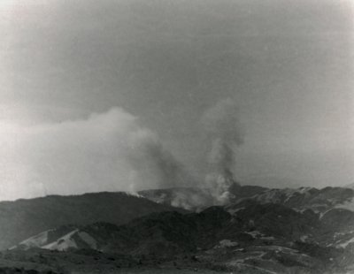 img484.jpg