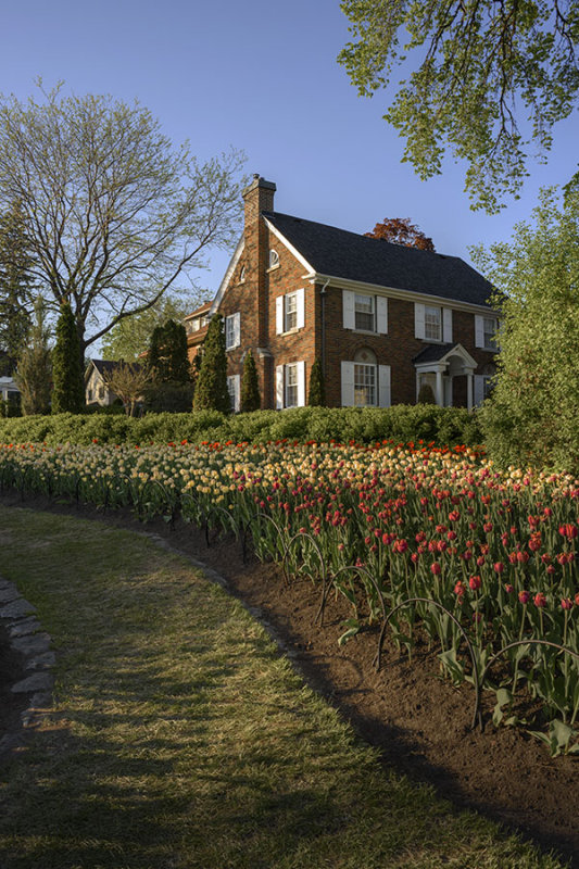 Ottawa Tulip Festival at Dows Lake