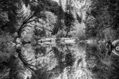 Merced River Reflection #25.jpg
