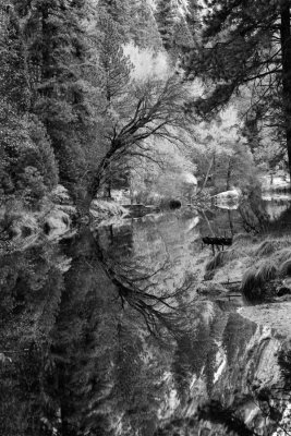 Merced River Reflection #3.jpg