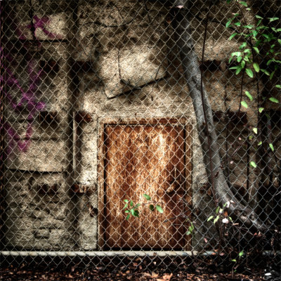 Back of Cage, Griffin Park Zoo, LA.jpg