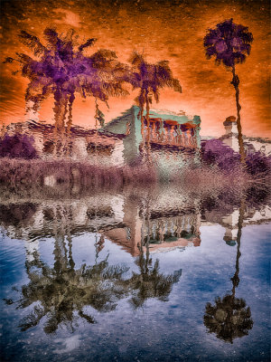 Reflected Reflection, Venice Canal, LA.jpg