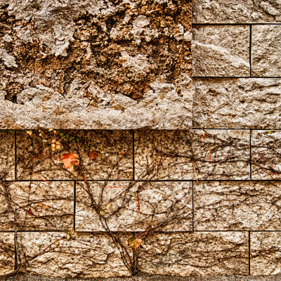 Wall Study #57, Getty Museum.jpg