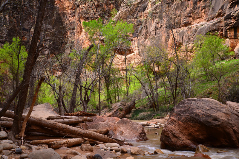 Zion National Park 2