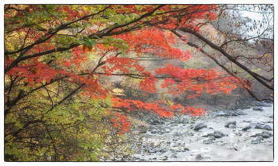 Autumn