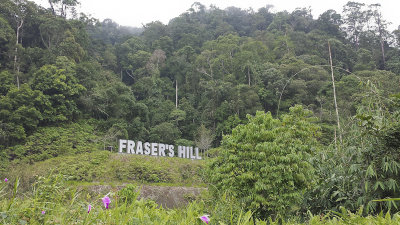 Fraser's Hill