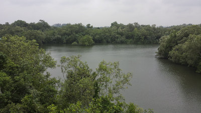 Sungei Buloh wetland reserve