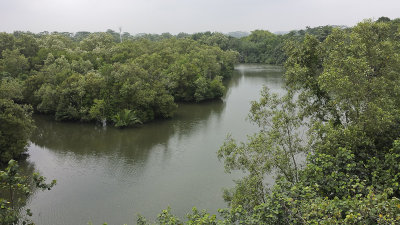 Sungei Buloh wetland reserve