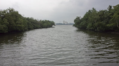 Vieuw on Malaysia from Sungei Buloh river - Uitzicht op Maleisië vanaf de Sungei Buloh rivier