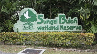 Sungei Buloh wetland reserve