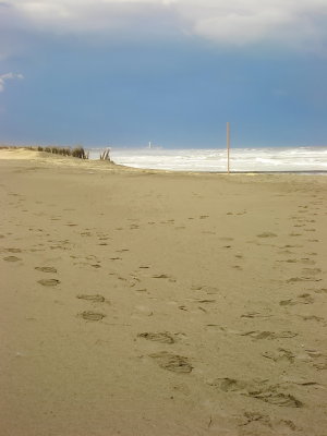 g9/68/920368/3/158366761.4vk24d9N.jpg